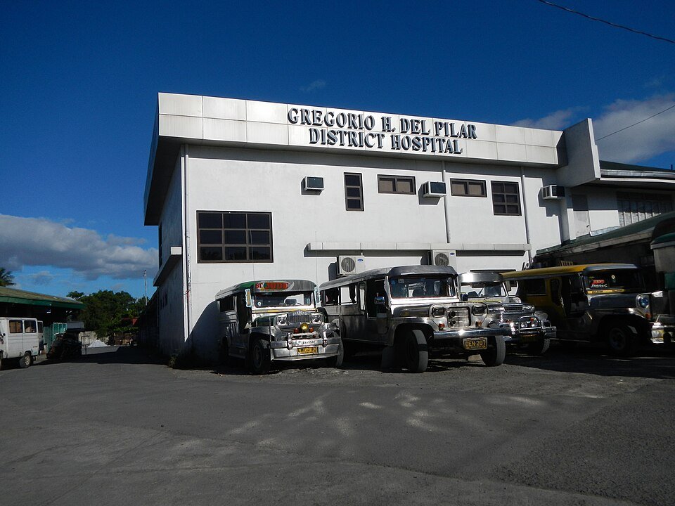 Gregorio Del Pilar District Hospital photo