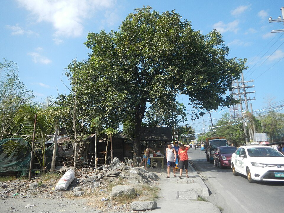 Rizal Medical Center photo